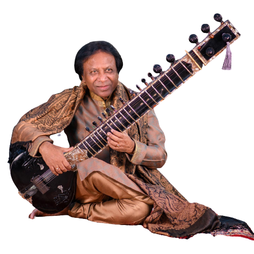 sitar basic lessons